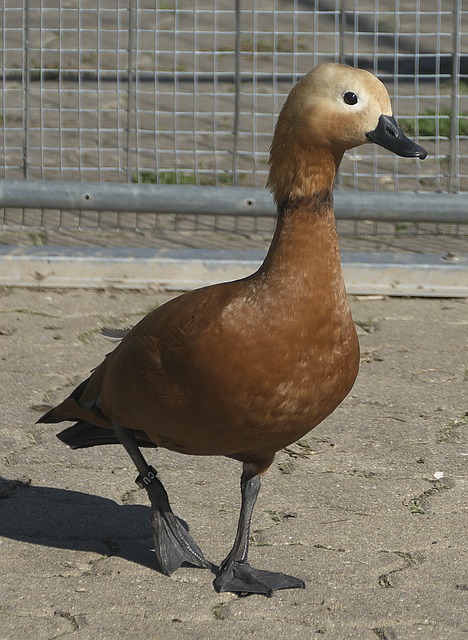 以实例来看