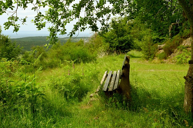 无论是主场 无论是主场
